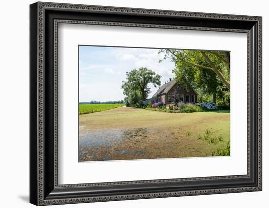 Old Farm House in A Dutch Polder Landscape-Ruud Morijn-Framed Photographic Print