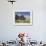 Old Farm House with Sod Roof, Kirkjubor Village, Faroe Islands, Denmark-Cindy Miller Hopkins-Framed Photographic Print displayed on a wall