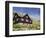 Old Farm House with Sod Roof, Kirkjubor Village, Faroe Islands, Denmark-Cindy Miller Hopkins-Framed Photographic Print