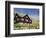 Old Farm House with Sod Roof, Kirkjubor Village, Faroe Islands, Denmark-Cindy Miller Hopkins-Framed Photographic Print