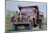 Old Farm Truck, 2008-Anthony Butera-Mounted Giclee Print