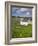 Old Farmhouse in Rosapenna, County Donegal, Ulster, Republic of Ireland, Europe-Richard Cummins-Framed Photographic Print