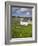Old Farmhouse in Rosapenna, County Donegal, Ulster, Republic of Ireland, Europe-Richard Cummins-Framed Photographic Print
