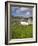 Old Farmhouse in Rosapenna, County Donegal, Ulster, Republic of Ireland, Europe-Richard Cummins-Framed Photographic Print