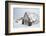 Old Farmhouse Lauf‡s, Coast Eyjafjšrdur, North of Akureyri, Noth Iceland-Julia Wellner-Framed Photographic Print