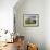 Old Farmhouse, Pergusa, Enna, Sicily, Italy-Walter Bibikow-Framed Photographic Print displayed on a wall