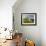 Old Farmhouse, Pergusa, Enna, Sicily, Italy-Walter Bibikow-Framed Photographic Print displayed on a wall