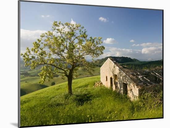 Old Farmhouse, Pergusa, Enna, Sicily, Italy-Walter Bibikow-Mounted Photographic Print