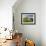 Old Farmhouse, Pergusa, Enna, Sicily, Italy-Walter Bibikow-Framed Photographic Print displayed on a wall