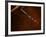 Old-Fashioned Corkscrew-Steve Lupton-Framed Photographic Print