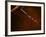 Old-Fashioned Corkscrew-Steve Lupton-Framed Photographic Print