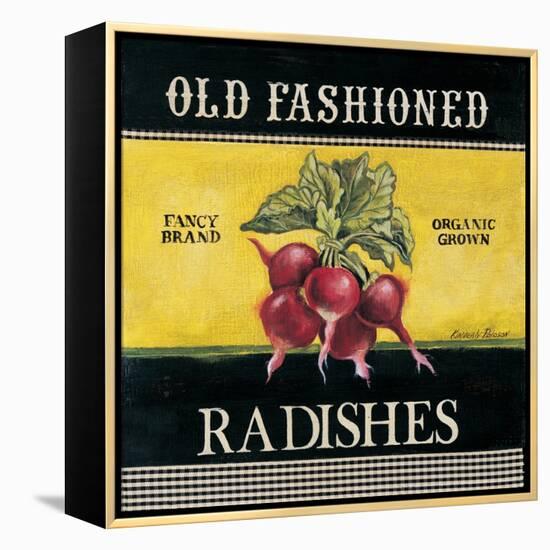 Old Fashioned Radishes-Kimberly Poloson-Framed Stretched Canvas