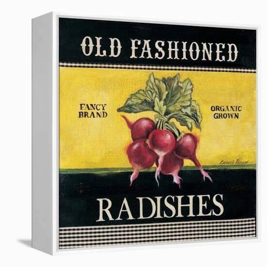 Old Fashioned Radishes-Kimberly Poloson-Framed Stretched Canvas