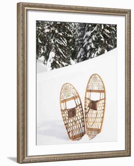 Old-Fashioned Wood Snowshoes in Snow, Crystal Mountain, Washington, Usa-Merrill Images-Framed Photographic Print