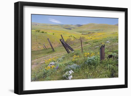 Old Fence Line-Don Paulson-Framed Giclee Print