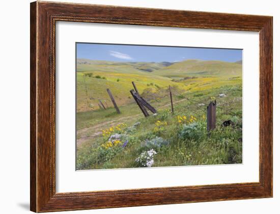 Old Fence Line-Don Paulson-Framed Giclee Print
