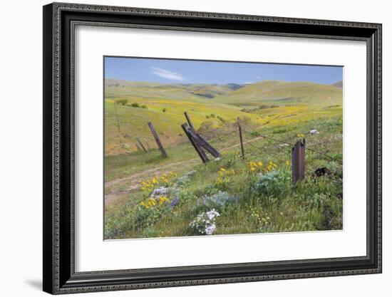 Old Fence Line-Don Paulson-Framed Giclee Print