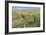 Old Fence Line-Don Paulson-Framed Giclee Print