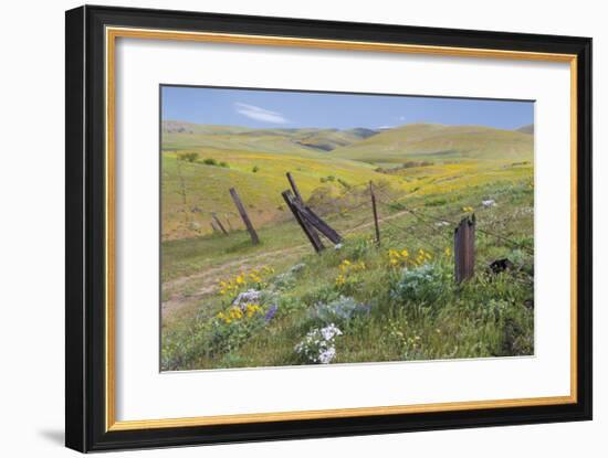 Old Fence Line-Don Paulson-Framed Giclee Print