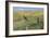 Old Fence Line-Don Paulson-Framed Giclee Print