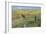 Old Fence Line-Don Paulson-Framed Giclee Print