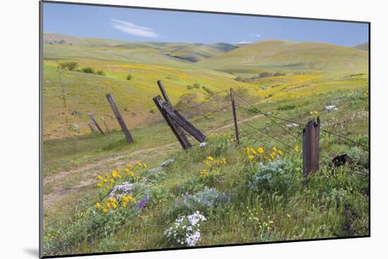 Old Fence Line-Don Paulson-Mounted Giclee Print