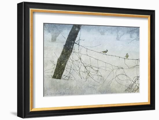 Old Fence Tangle-Chris Vest-Framed Art Print