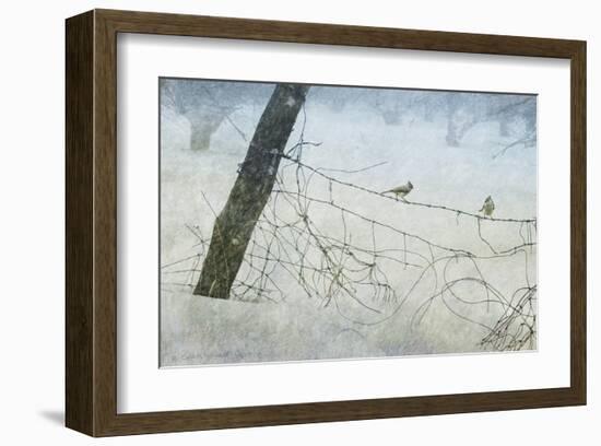 Old Fence Tangle-Chris Vest-Framed Art Print