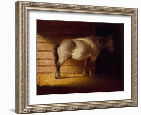 Old Field Horse, by 1856-George Caleb Bingham-Framed Giclee Print