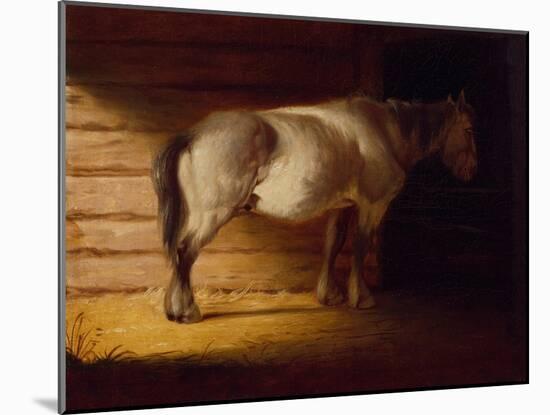 Old Field Horse, by 1856-George Caleb Bingham-Mounted Giclee Print