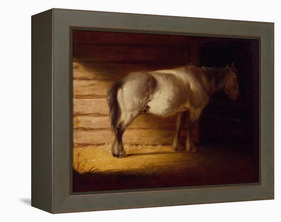 Old Field Horse, by 1856-George Caleb Bingham-Framed Premier Image Canvas