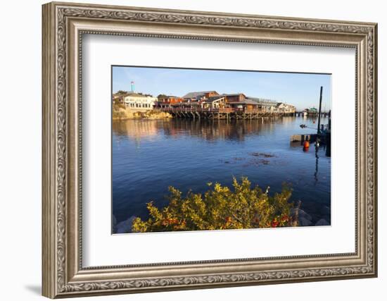 Old Fisherman's Warf, Monterey, California, United States of America, North America-Miles-Framed Photographic Print