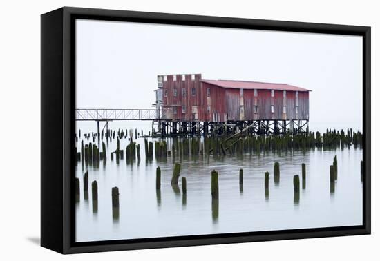 Old Fishing Cannery on the Columbia River, Astoria, Oregon, USA-Jamie & Judy Wild-Framed Premier Image Canvas