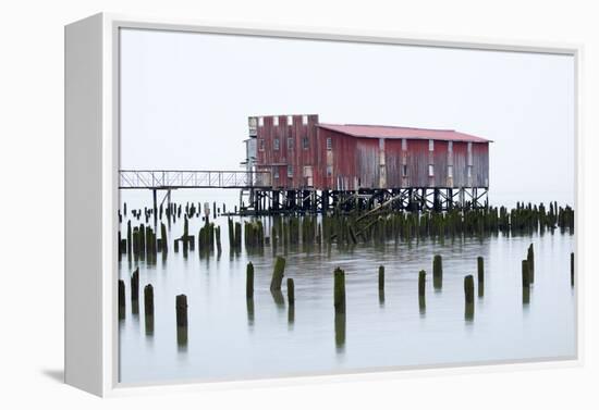 Old Fishing Cannery on the Columbia River, Astoria, Oregon, USA-Jamie & Judy Wild-Framed Premier Image Canvas