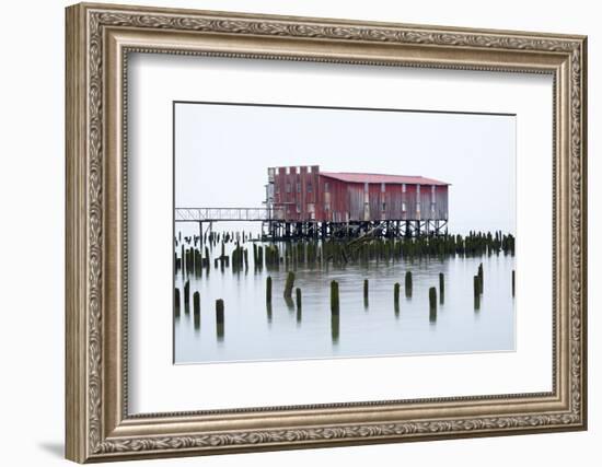 Old Fishing Cannery on the Columbia River, Astoria, Oregon, USA-Jamie & Judy Wild-Framed Photographic Print