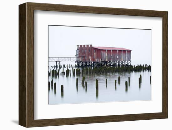 Old Fishing Cannery on the Columbia River, Astoria, Oregon, USA-Jamie & Judy Wild-Framed Photographic Print