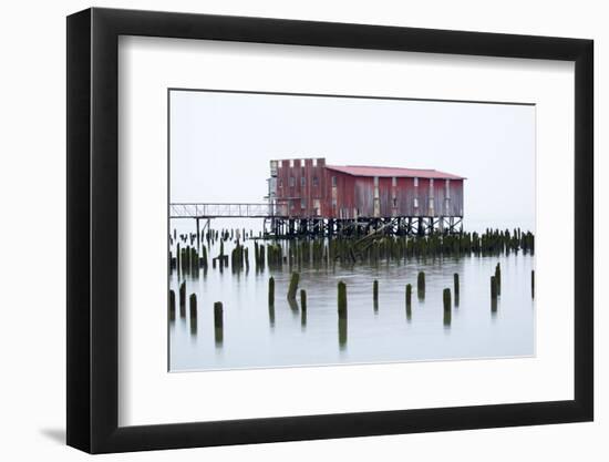 Old Fishing Cannery on the Columbia River, Astoria, Oregon, USA-Jamie & Judy Wild-Framed Photographic Print