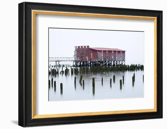 Old Fishing Cannery on the Columbia River, Astoria, Oregon, USA-Jamie & Judy Wild-Framed Photographic Print