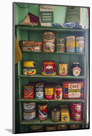 Old Food Conserves in the Port Lockroy Research Station, Antarctica, Polar Regions-Michael Runkel-Mounted Photographic Print