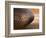 Old Football-Tom Grill-Framed Photographic Print