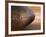 Old Football-Tom Grill-Framed Photographic Print