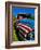 Old Ford Truck Painted with American Flag Pattern, Rockland, Maine, Usa-Bill Bachmann-Framed Photographic Print