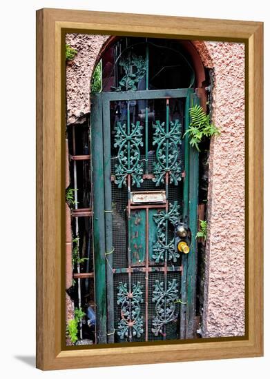 Old French Door, New Orleans, Louisiana, USA-Joe Restuccia III-Framed Premier Image Canvas