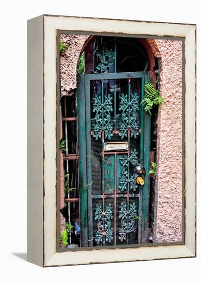 Old French Door, New Orleans, Louisiana, USA-Joe Restuccia III-Framed Premier Image Canvas