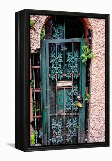 Old French Door, New Orleans, Louisiana, USA-Joe Restuccia III-Framed Premier Image Canvas