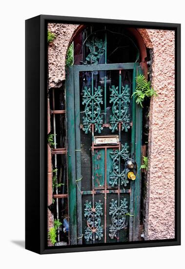 Old French Door, New Orleans, Louisiana, USA-Joe Restuccia III-Framed Premier Image Canvas