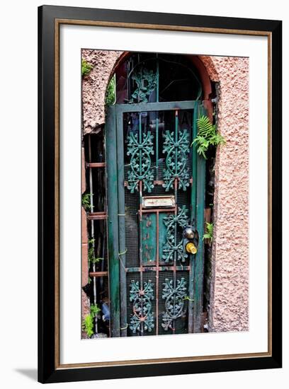 Old French Door, New Orleans, Louisiana, USA-Joe Restuccia III-Framed Photographic Print