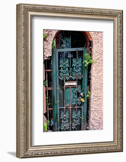 Old French Door, New Orleans, Louisiana, USA-Joe Restuccia III-Framed Photographic Print