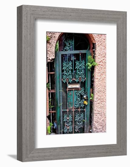 Old French Door, New Orleans, Louisiana, USA-Joe Restuccia III-Framed Photographic Print