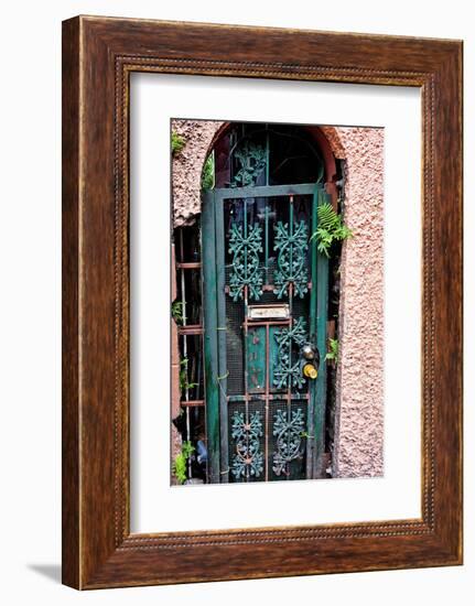 Old French Door, New Orleans, Louisiana, USA-Joe Restuccia III-Framed Photographic Print